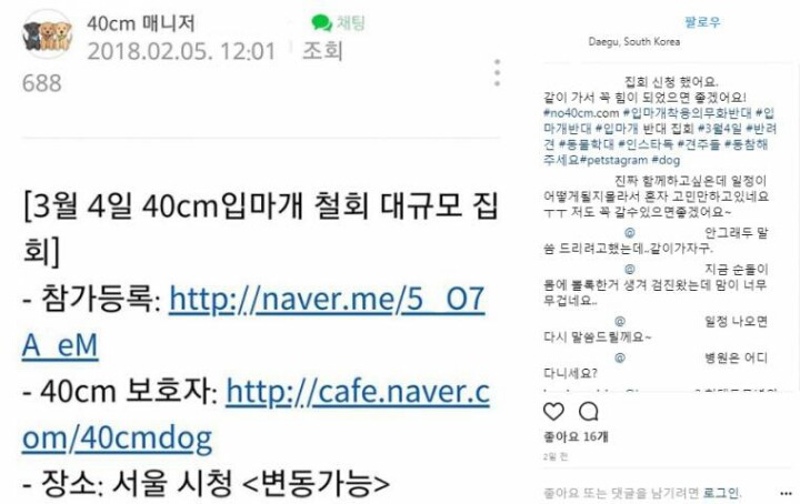 입마개 반대운동 | 인스티즈