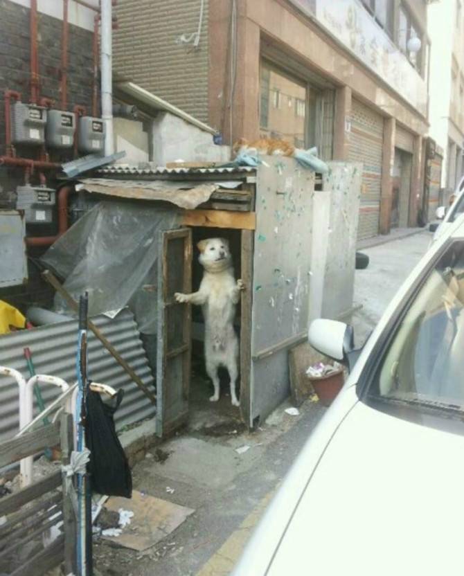 ??? : 아저씨 차빼요.JPG | 인스티즈