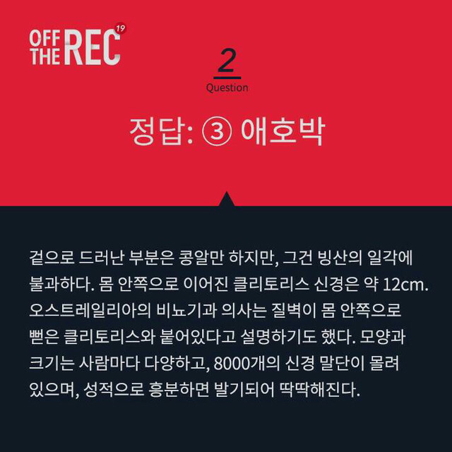 클리토리스의 크기는? | 인스티즈
