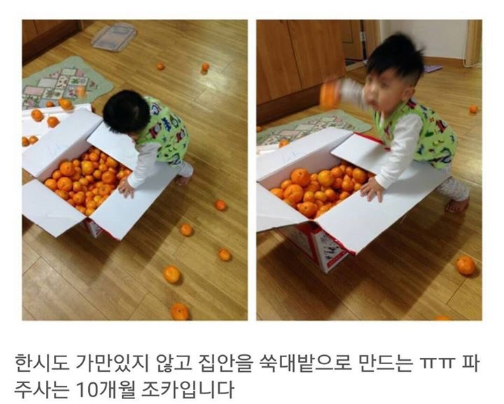 아이스크림의 위력.JPG | 인스티즈