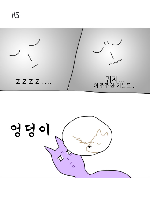 댕댕이 맘들은 다 똑같아 | 인스티즈