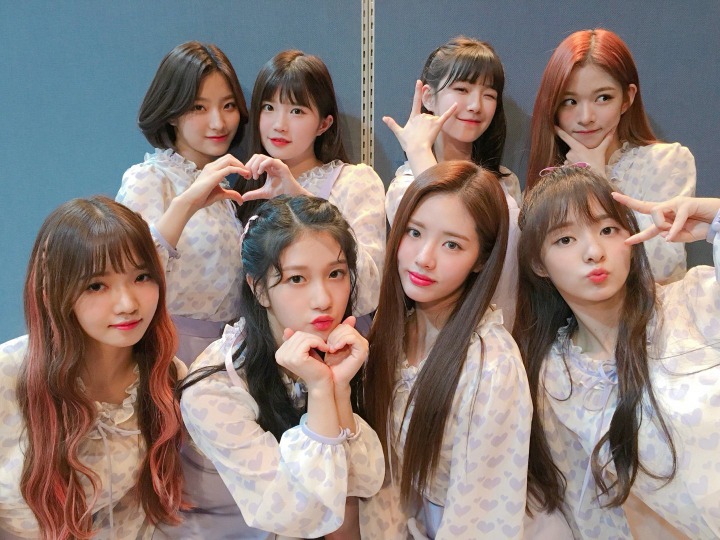 [프로미스나인] 추가로 앨범사서 약속회 갈까 고민되서 픎나인 | 인스티즈