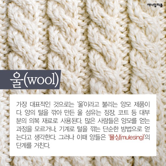 일상에 스며든 동물학대 생산품들 | 인스티즈