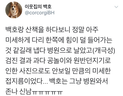댕댕이의 고정픽은 동물병원 원장님 | 인스티즈