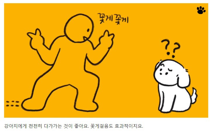 처음 만난 강아지와 인사하는 방법 | 인스티즈