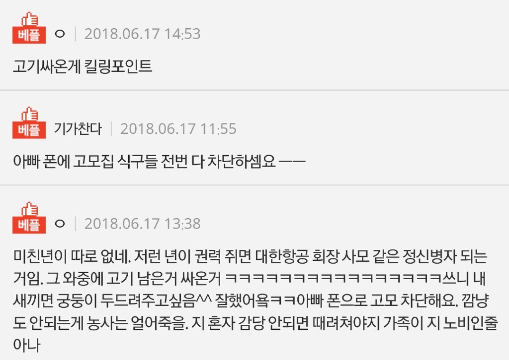 [판] 일 안했다고 내가 사온 고기 먹지말라는 고모 | 인스티즈