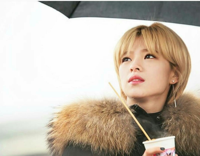 트와이스 정연 | 인스티즈