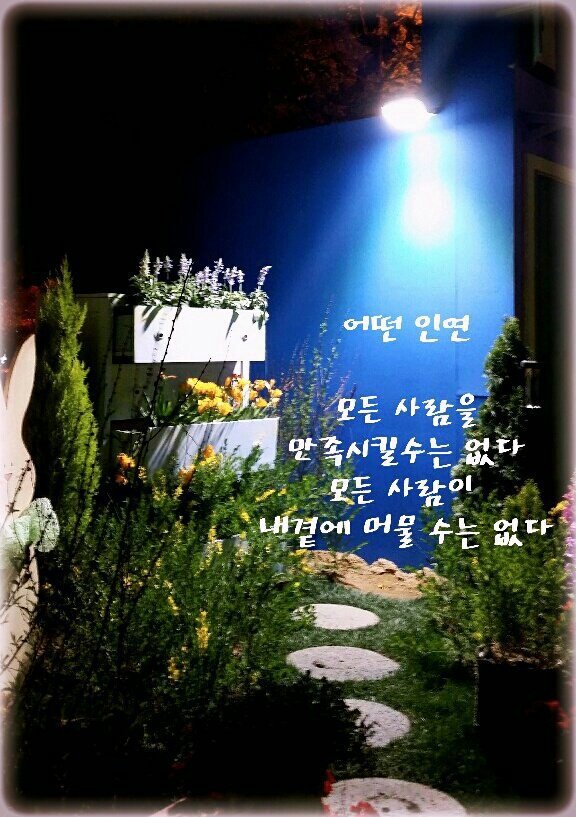 풀향 이미지