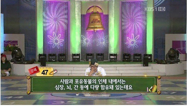 골든벨 문제 쉽네 ㅋㅋㅋㅋㅋ | 인스티즈