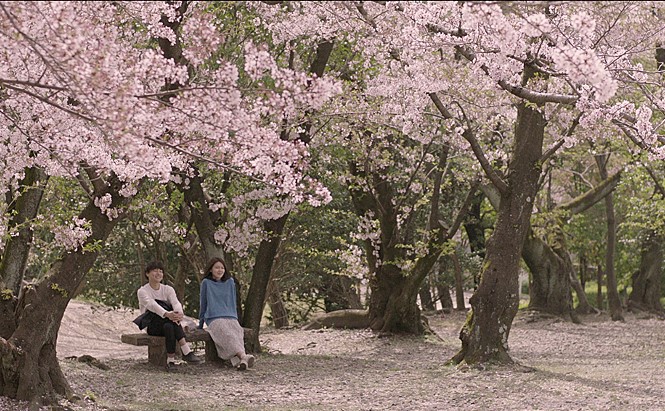 9933AA495C8AB32F0C4212