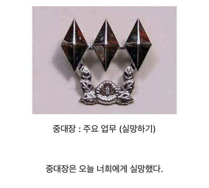 제일 실망을 많이하는 직업 | 인스티즈