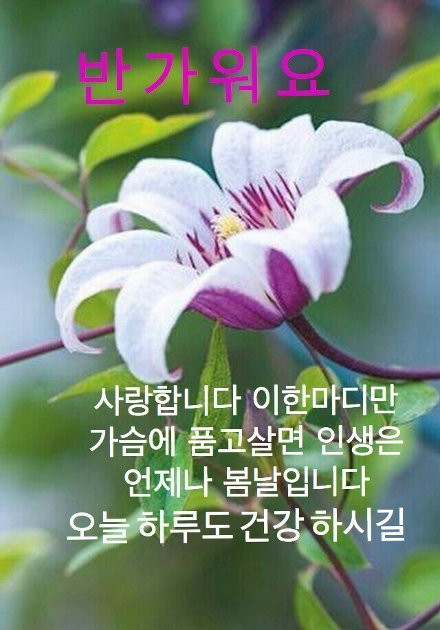 빵긋 이미지