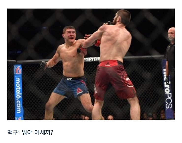 맥그리거는 왜 하빕과의 경기를 수락했을까? 사진 정리 | 인스티즈