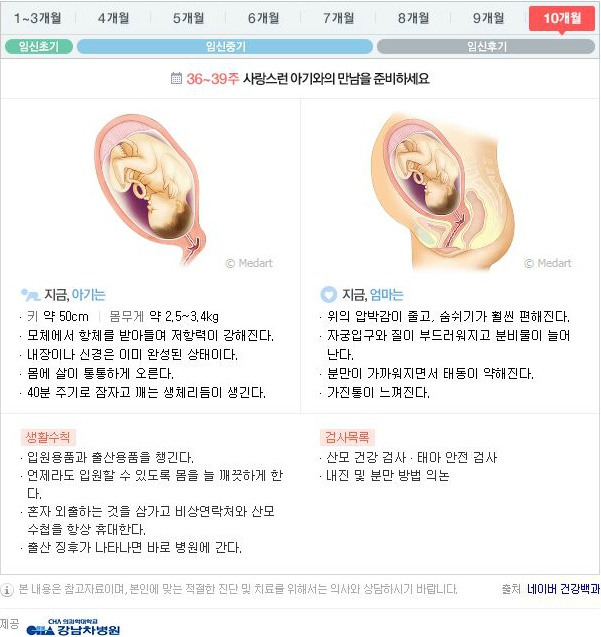 10달동안 무슨 변화가 일어나는걸까?: 임신 알아보기 | 인스티즈