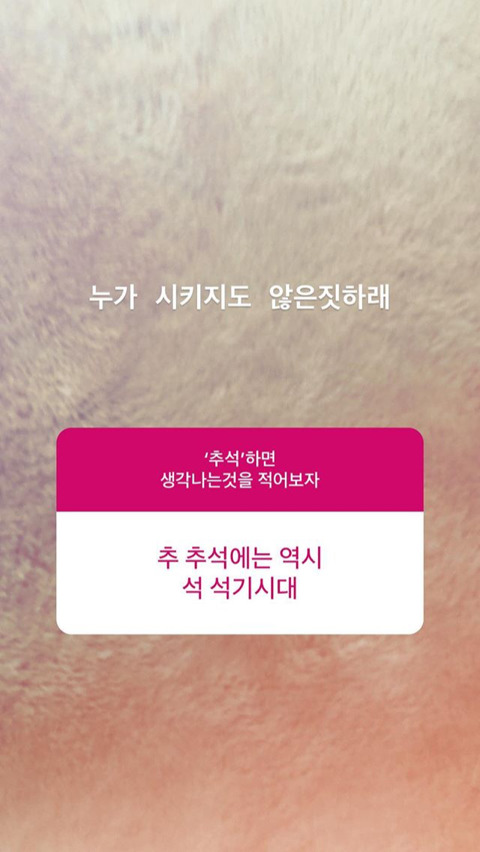 오늘자 탱구 인스타 답변 | 인스티즈