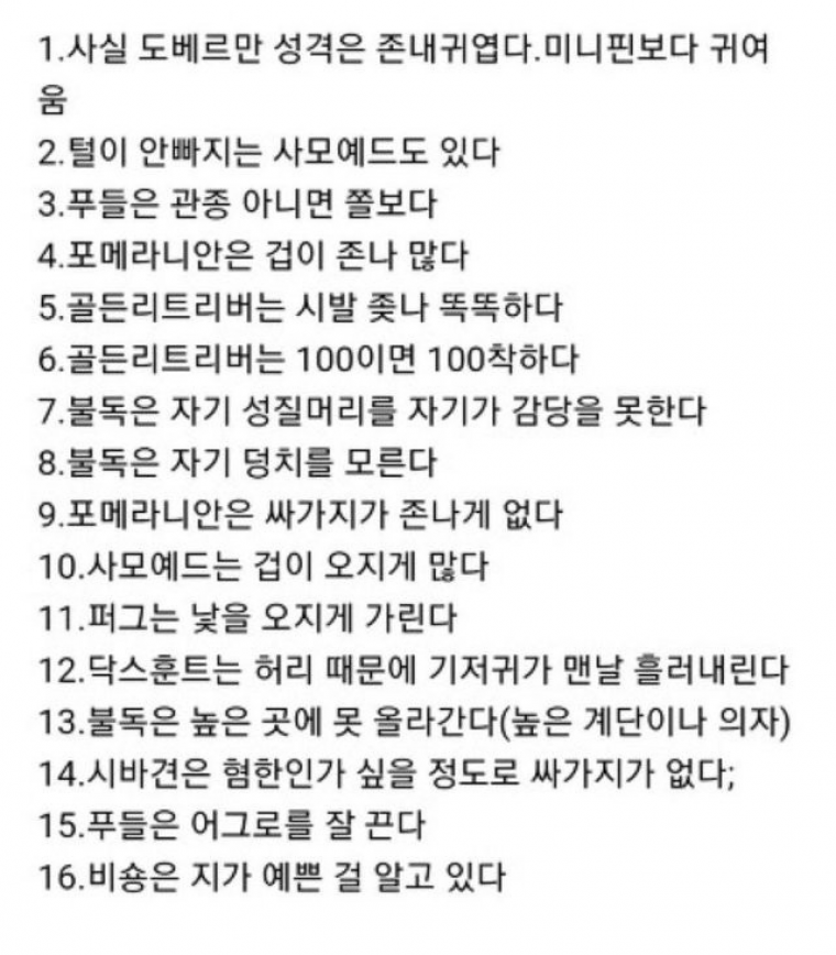 애견카페 알바생이 쓴 강아지 성격 | 인스티즈