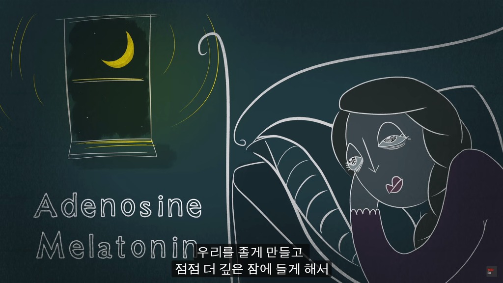 잠을 자지않는다면 우리몸에 어떠한 변화가 일어날까?.JPG | 인스티즈