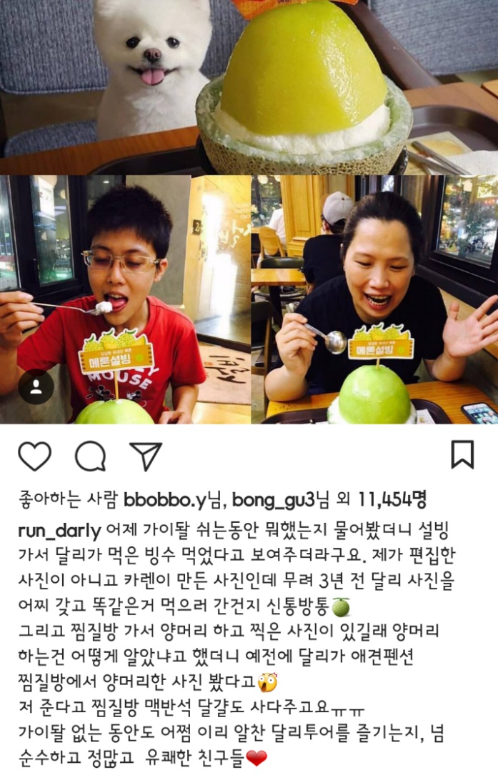 대만사람까지 꼬시고 다니는 한류 스타 강아지 달리 | 인스티즈
