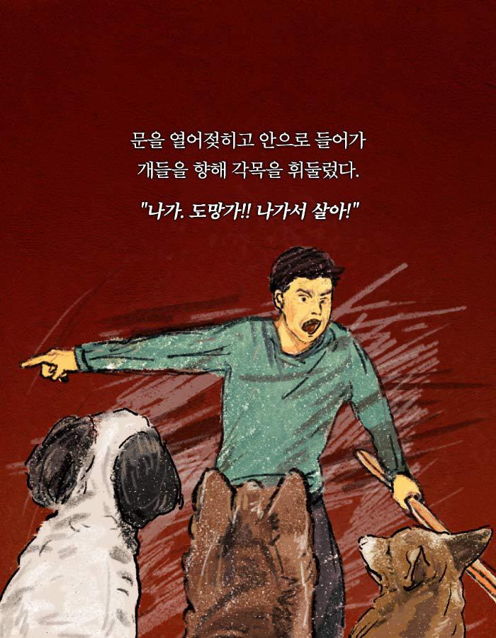[책소개] 동물병원에 군인들이 닥친 이유 | 인스티즈