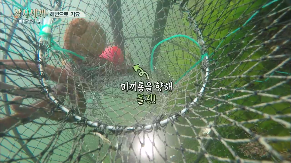 한지민을 물음표살인마로 만든 삼시세끼 역대급 비쥬얼 해신탕 | 인스티즈