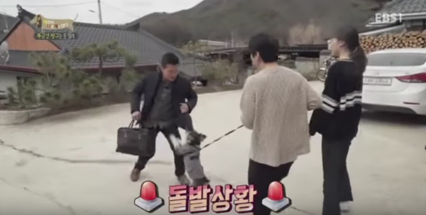관리 못하겠으면 키우지도 마라 | 인스티즈