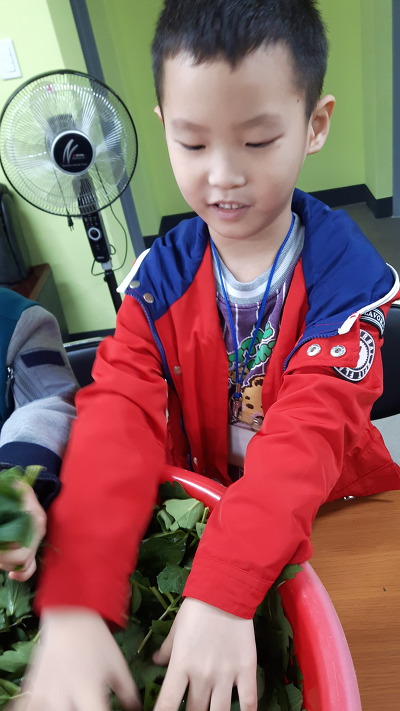 서대산약용자연휴양림 이미지