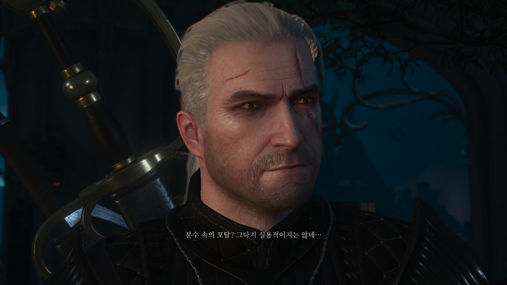 [위쳐3:블러드앤와인] 산 넘고 물 건너 5 | 인스티즈