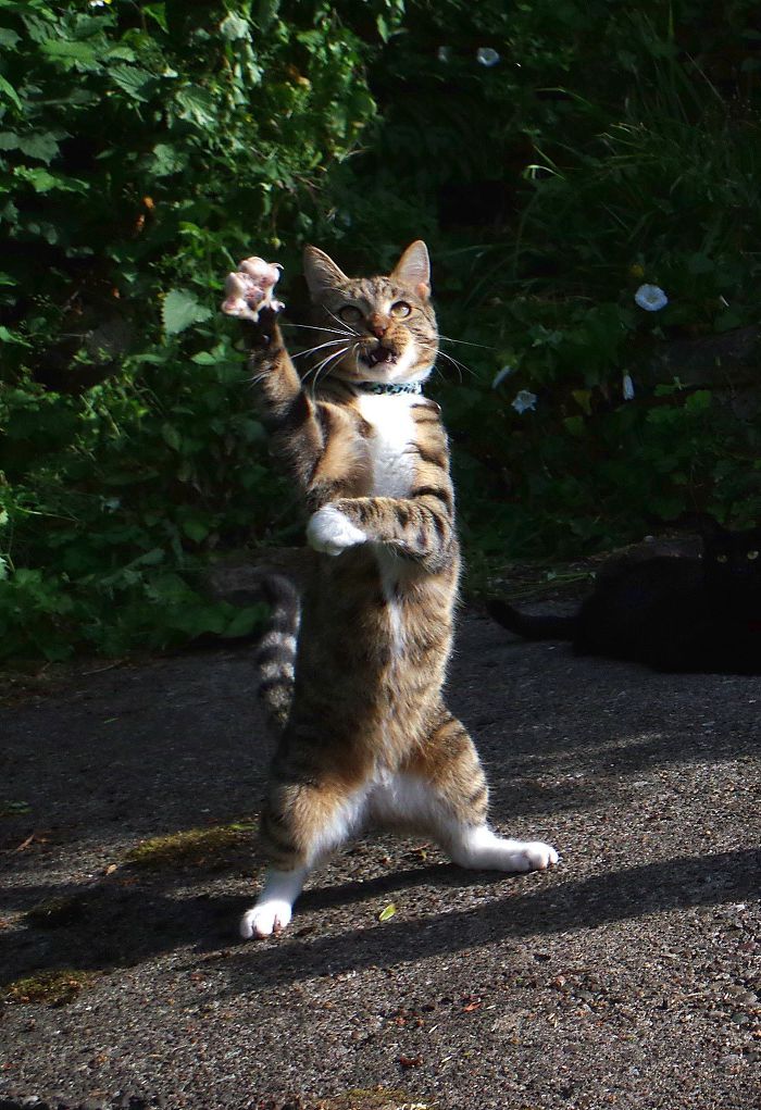 발가락을 쫙 피고 만세~! | 인스티즈