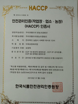 싱싱오리 이미지