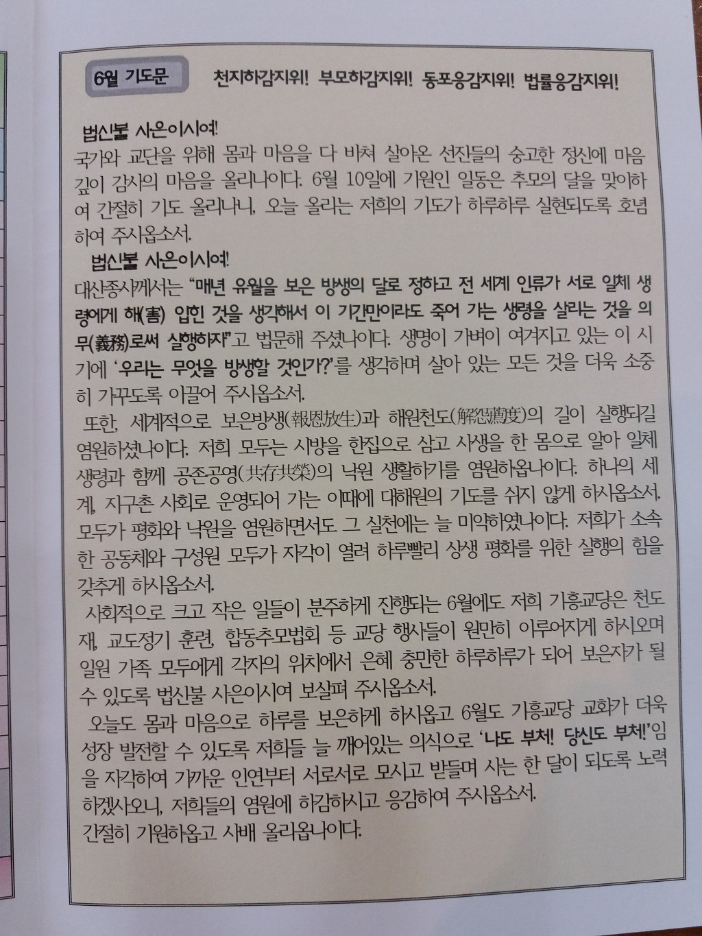 고*석 이미지