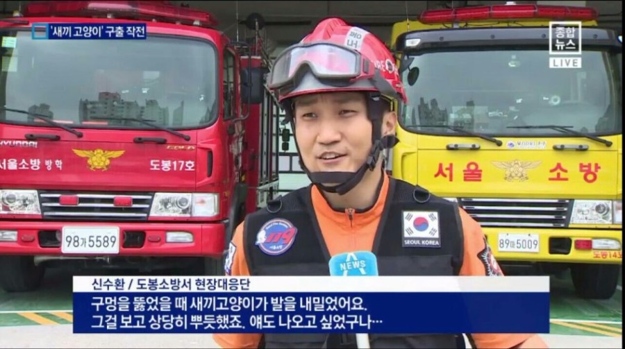 119 아기고양이 구출작전 | 인스티즈