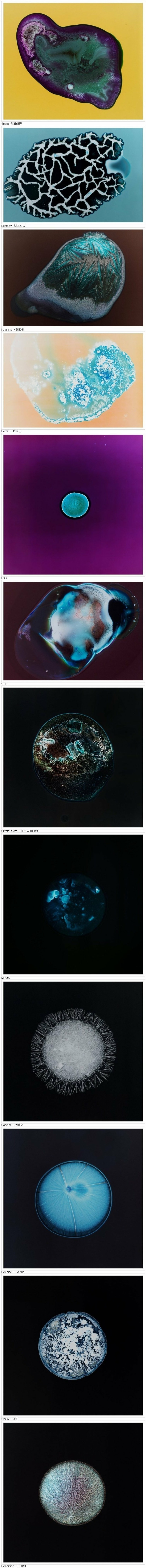 현미경으로 확대하여 본 마약 성분 | 인스티즈