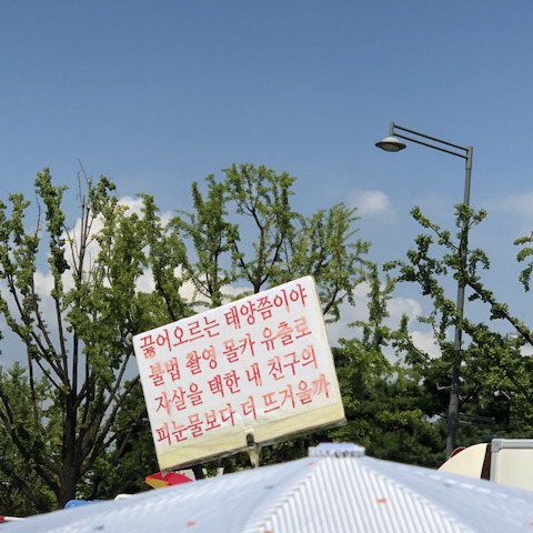 성림 이미지