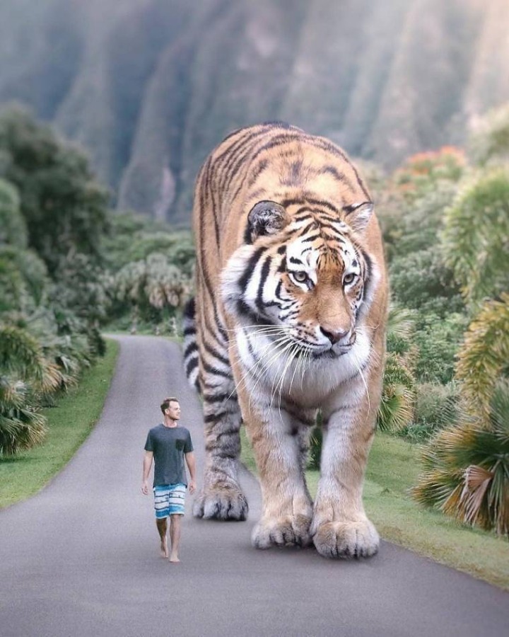 야생동물이 거대해진다면? | 인스티즈