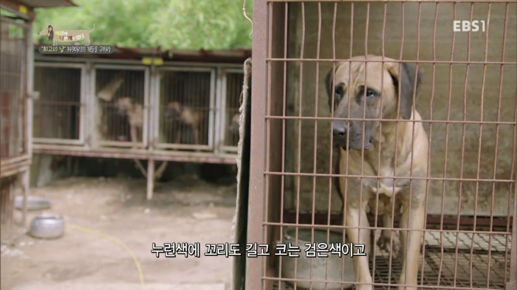 어떻게 사람을 그렇게 좋아할 수 있죠? | 인스티즈
