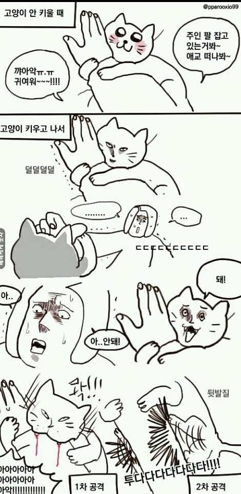 고양이 키우기 전과 후 | 인스티즈