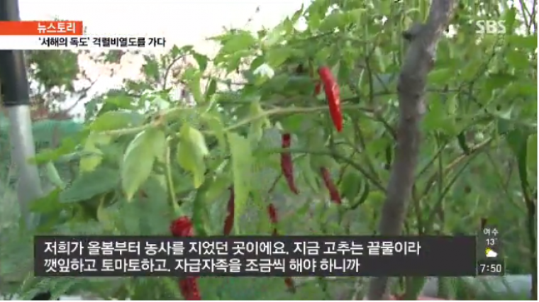 우리나라 진짜 무인도 등대지기 생활 | 인스티즈