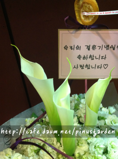 우리꽃집 이미지