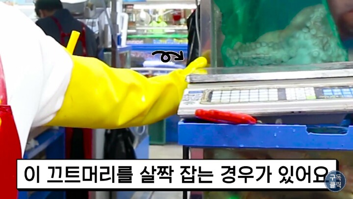 대게나 킹크랩살때 바가지 안당하는 방법!!! | 인스티즈