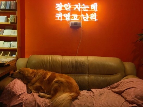 아임프롬 보컬학원 이미지
