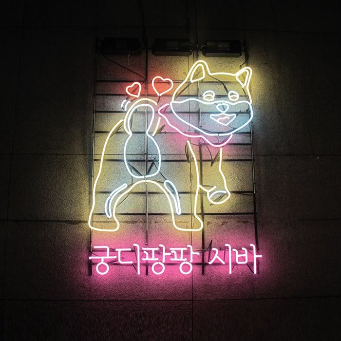 귀여운 케릭터들 | 인스티즈
