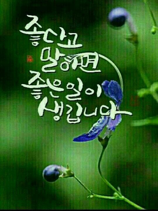 행복한 아침 이미지