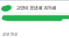 이쯤되면 어느정도인지 궁금해지는 고양이 똥냄새. jpg | 인스티즈