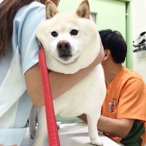 가족 셋 다 배우인데 사람들이 가족인지 잘모르는 배우 집안.jpg | 인스티즈