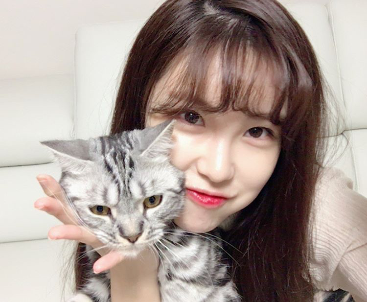 오늘자 고양이 생일파티 해준 전효성 ㅋㅋㅋㅋㅋㅋㅋㅋㅋ | 인스티즈