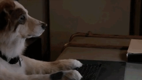 차별 당하는 고양이.jpgif | 인스티즈