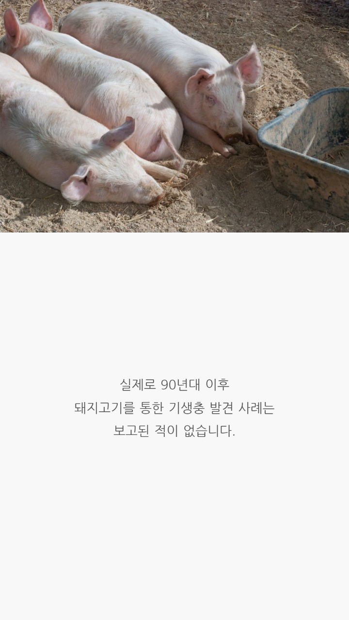 돼지고기는 바짝 익혀먹어야한다는 말의 진실 | 인스티즈