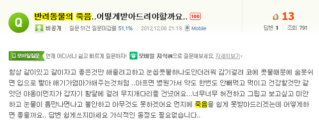 처음 반려동물 만났을때 너무 좋고 예뻐서 전혀 생각하지 못하는 것.jpg | 인스티즈