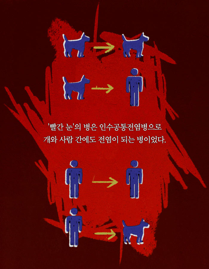 [책소개] 동물병원에 군인들이 닥친 이유 | 인스티즈