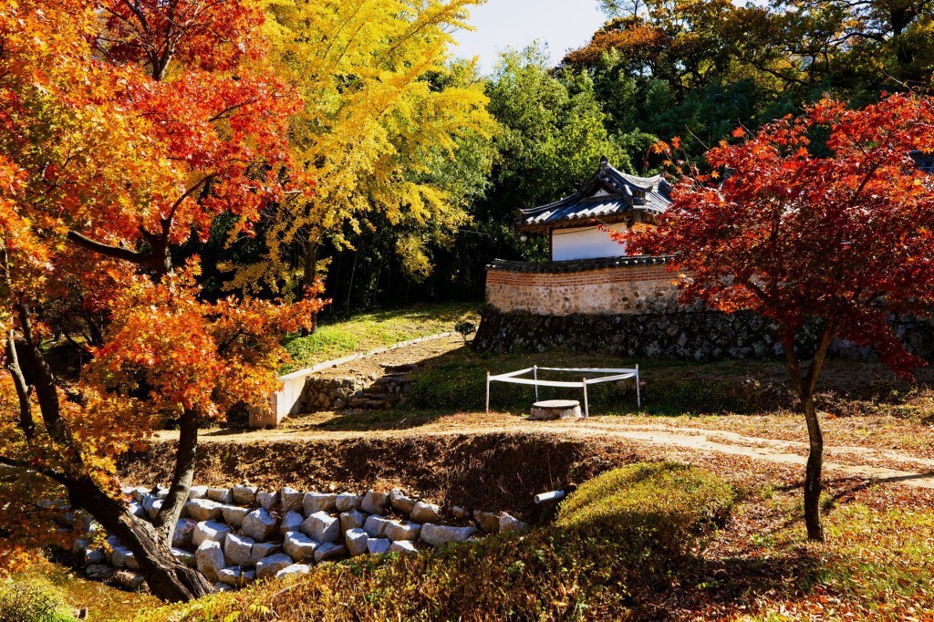 나화랑 이미지